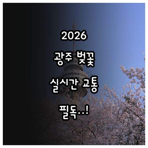2026년 광주 벚꽃 나들이 일정과 ..