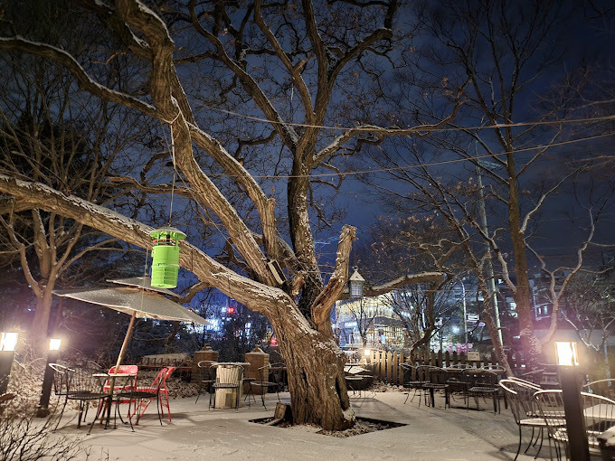 용인 수지 인생맛집, 추천맛집