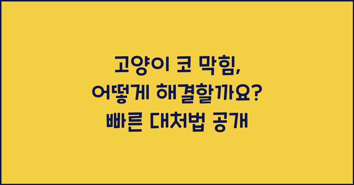고양이 코 막힘, 어떻게 해결할까요?