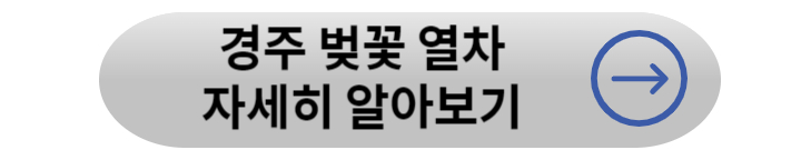 봄꽃 기차여행 (벚꽃기차)코스 및 금액 정리