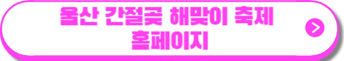 해맞이 축제