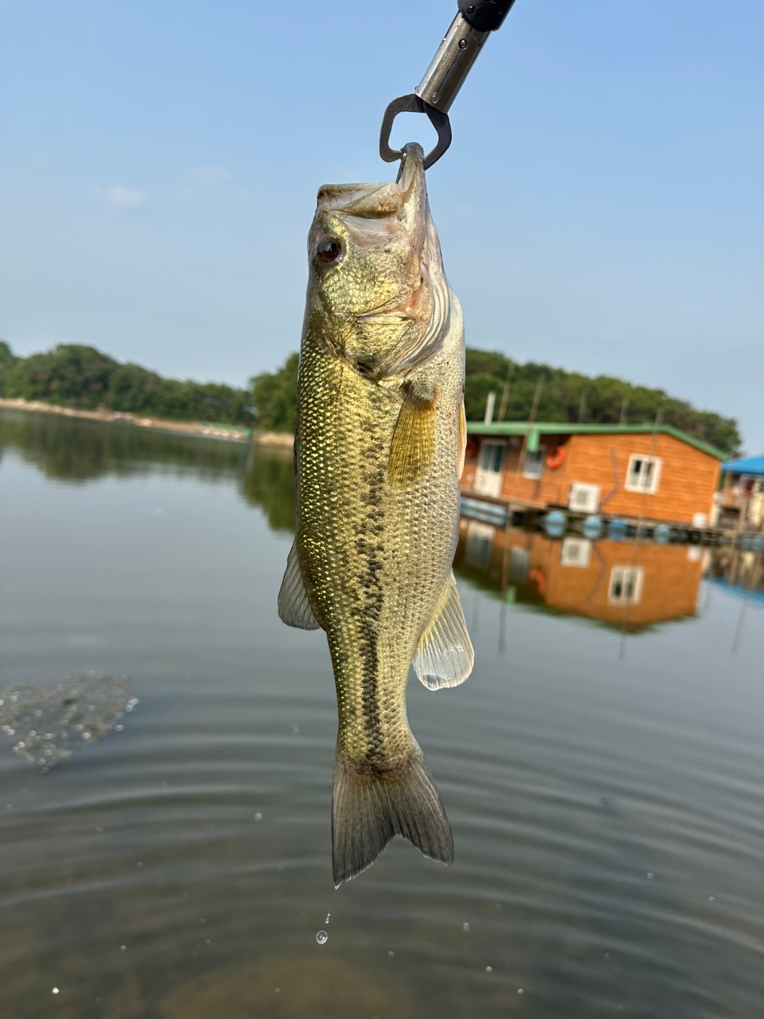 배스 낚시 사진