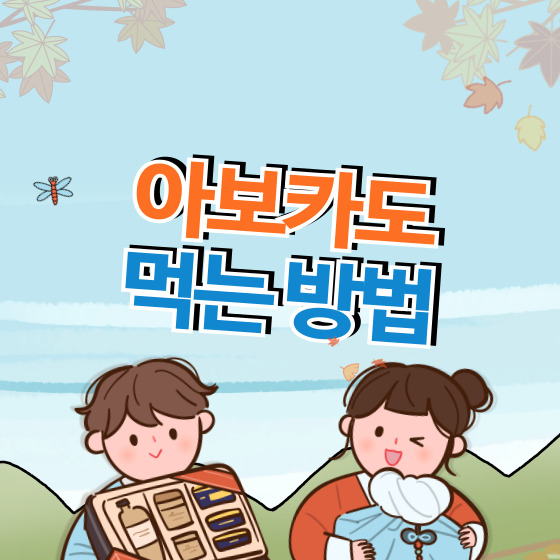 아보카도 먹는 방법