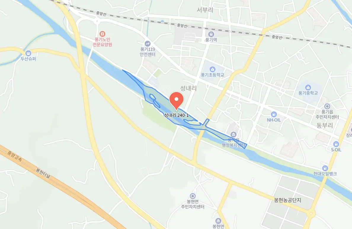 경북영주 풍기인삼축제