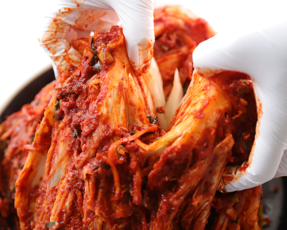 김치유산균, 유산균, 발효유산균, 한국인유산균, 한국인장건강