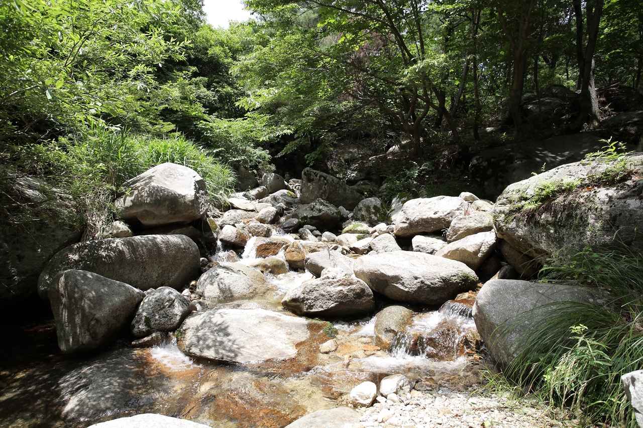 금원산자연휴양림