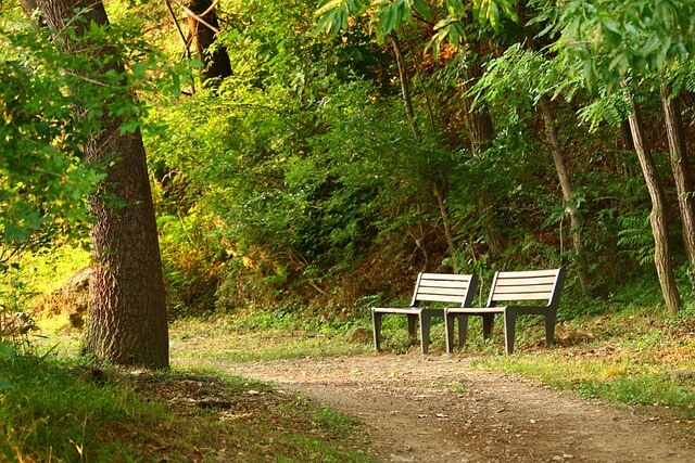 공원 벤치 사진