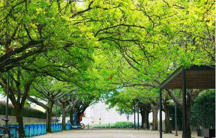 콜롬비아 메데인 – 영원한 봄의 도시에서 살아보기