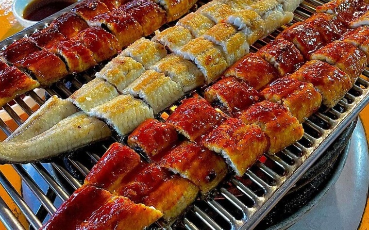 장어 건강부터 요리법까지