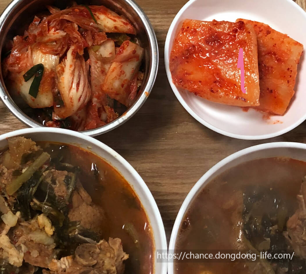 김장 김치 10kg 20kg 20포기 50포기 황금 양념 비율로 맛있게 담그는 방법