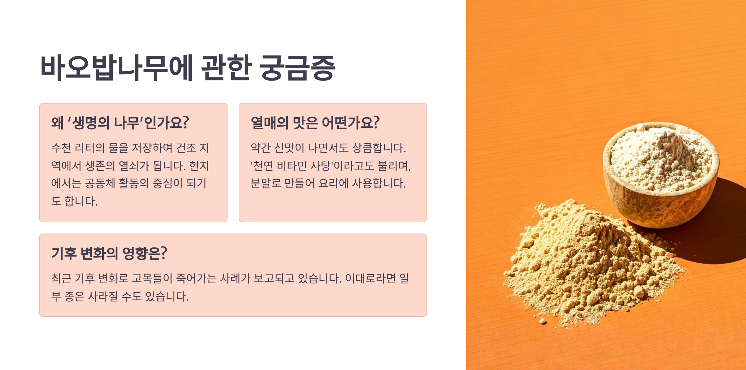 바오밥나무