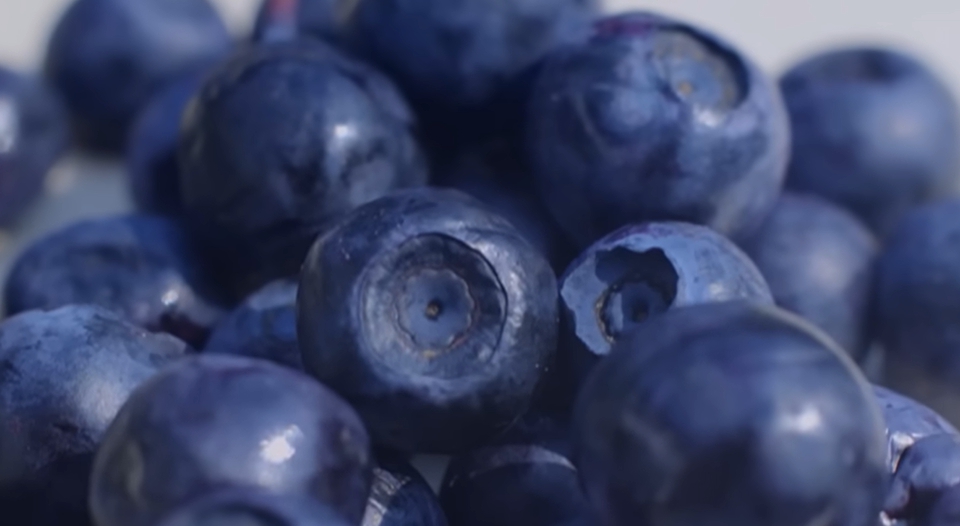 블루베리 효능 부작용