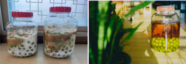 매실철과 매실주의 외관 비교