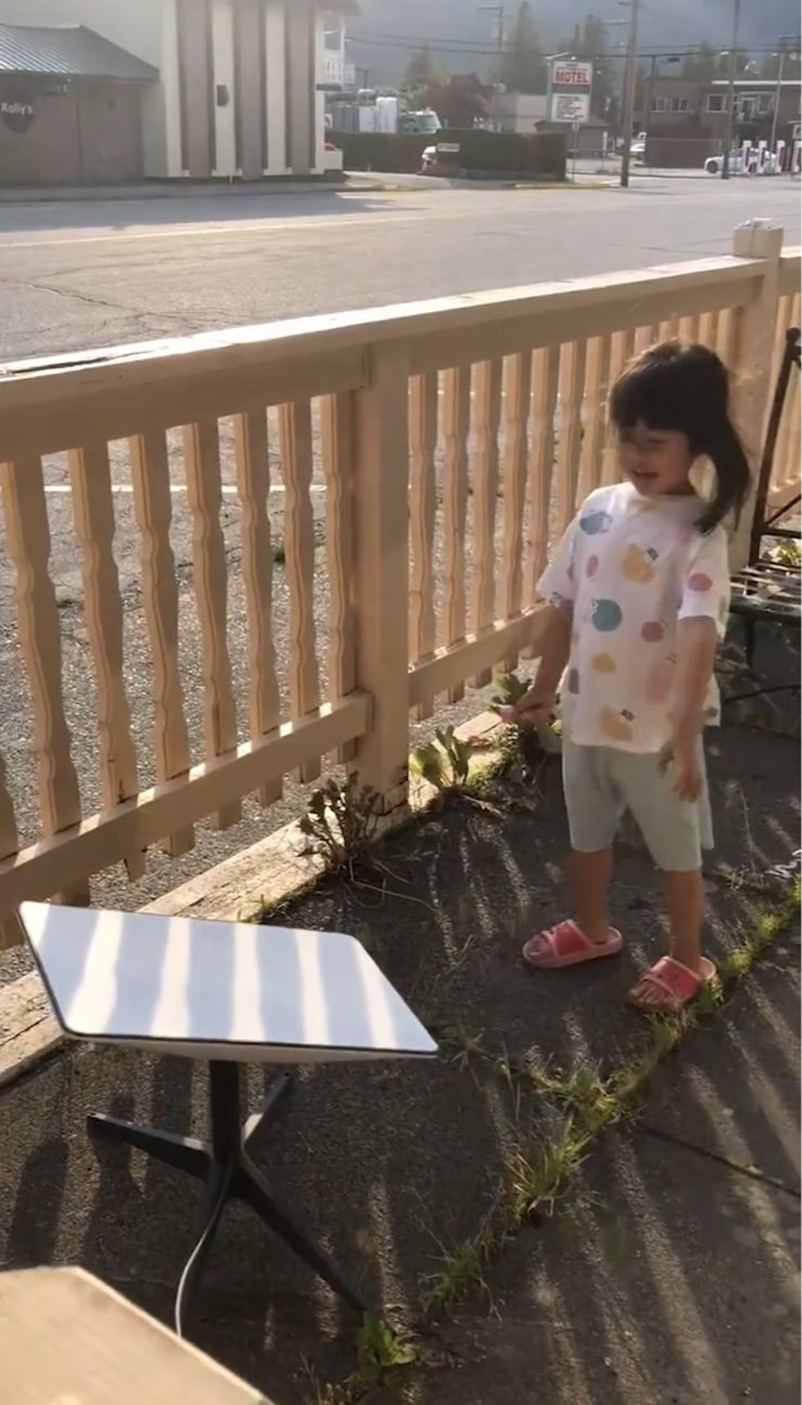 스타링크 인터넷 가격