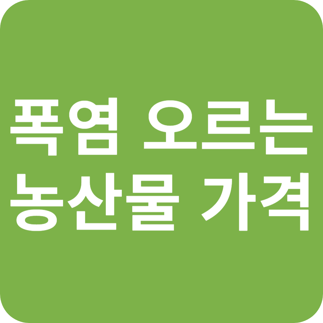 폭염으로 오르는 농산물 가격