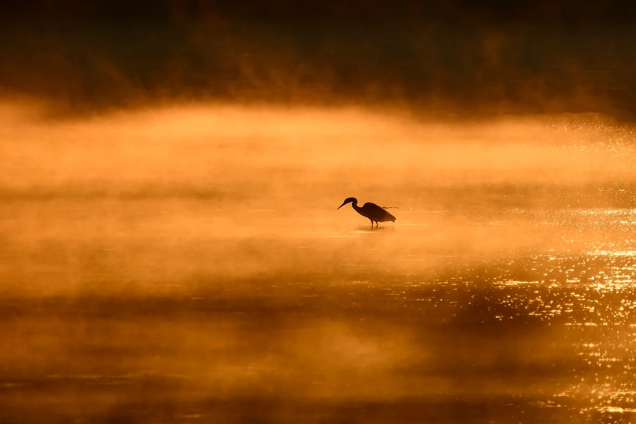 금 통장 만드는 방법