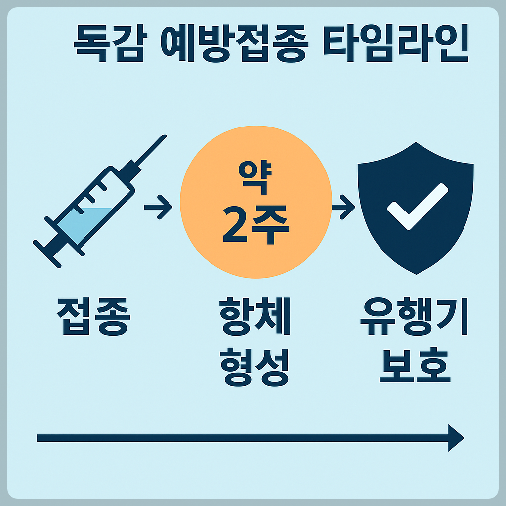 독감 예방 접종