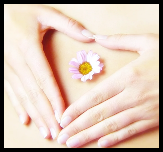 셀트리온 초유 단백질