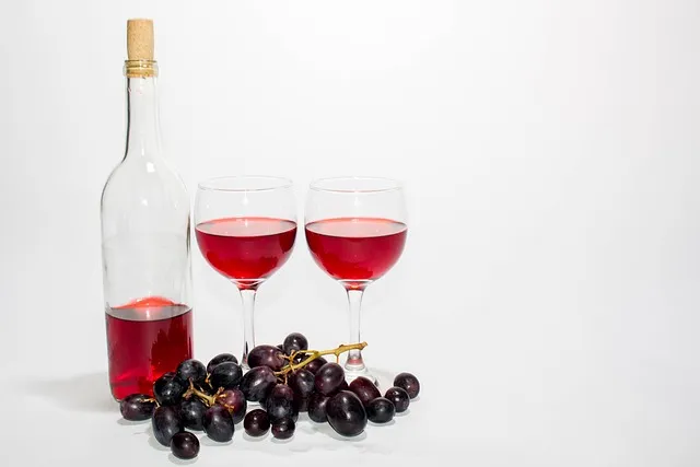 메를로퐁티 지각현상 3가지 예시와 현상학적 해석_3