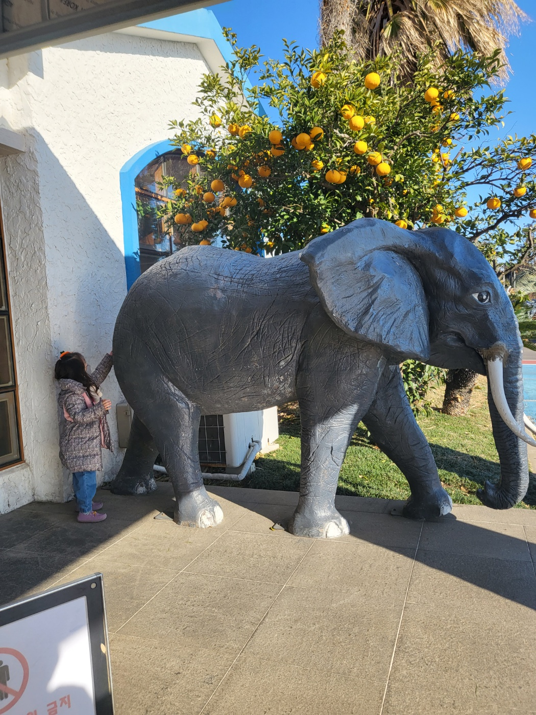 제주도 아이와가볼만한곳&amp;#44; 점보빌리지