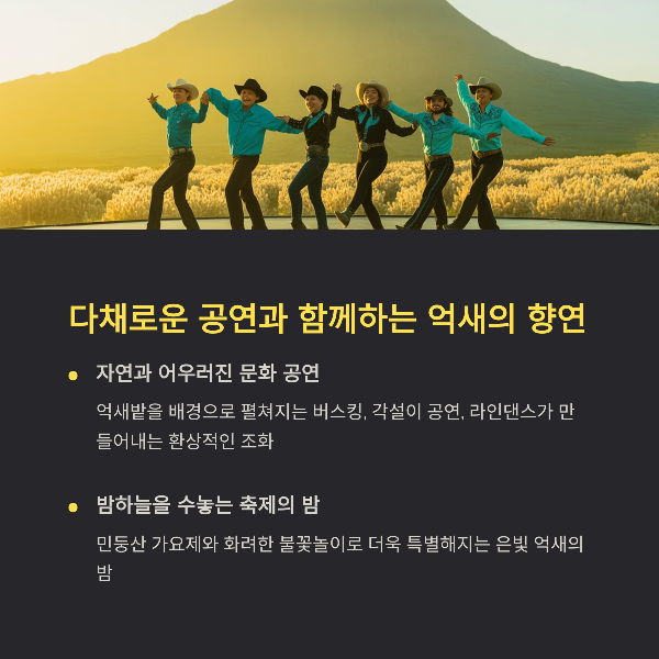다채로운 공연과 함께하는 억새의 향연