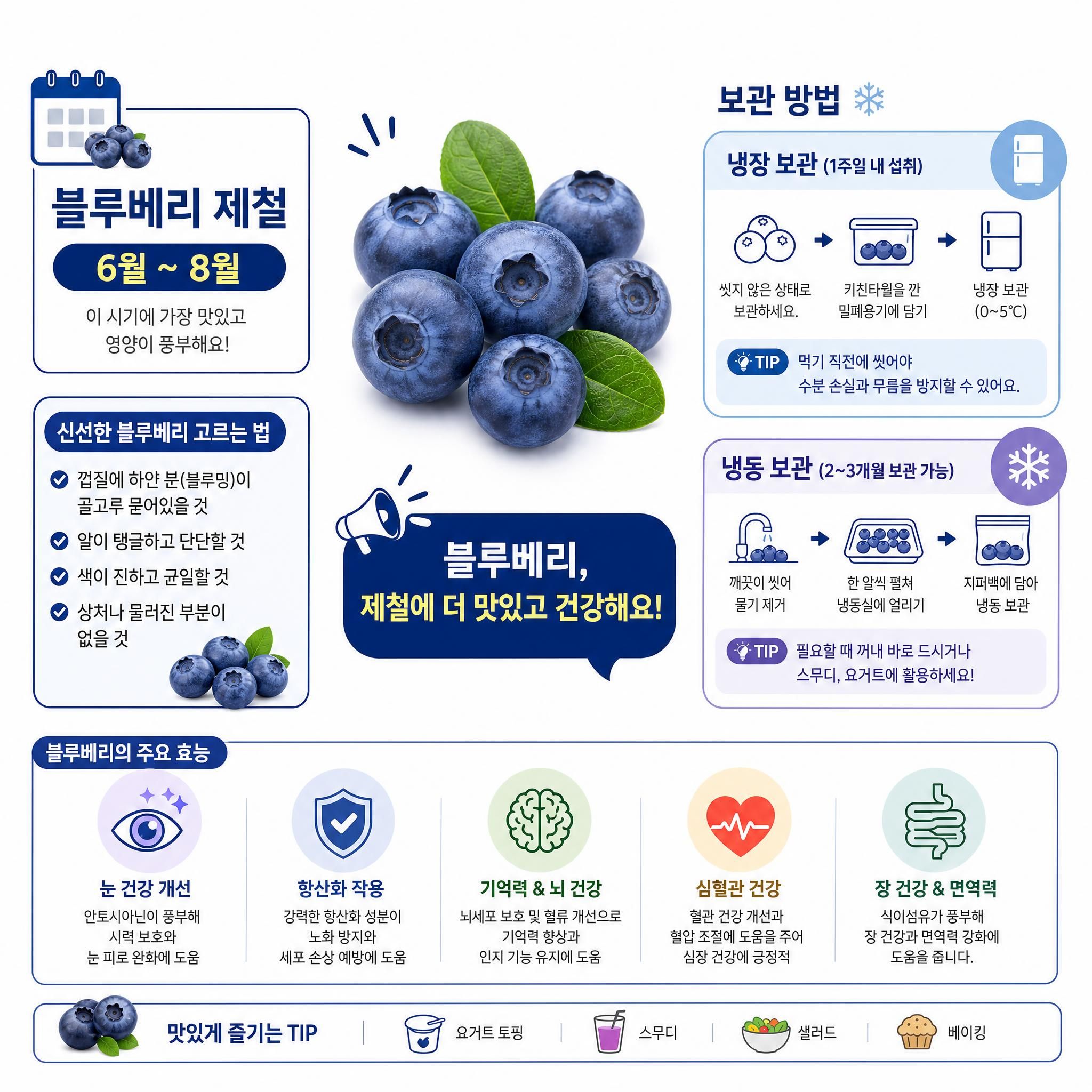 블루베리 제철 놓치지 마세요! 냉장&middot;냉동 보관법부터 효능까지 총정리