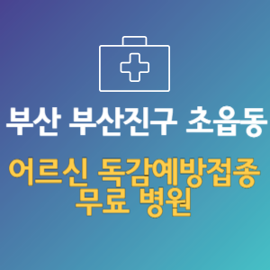 부산 부산진구 초읍동 노인 독감예방접종 무료 병원 (인플루엔자 무료 접종 대상 날짜)