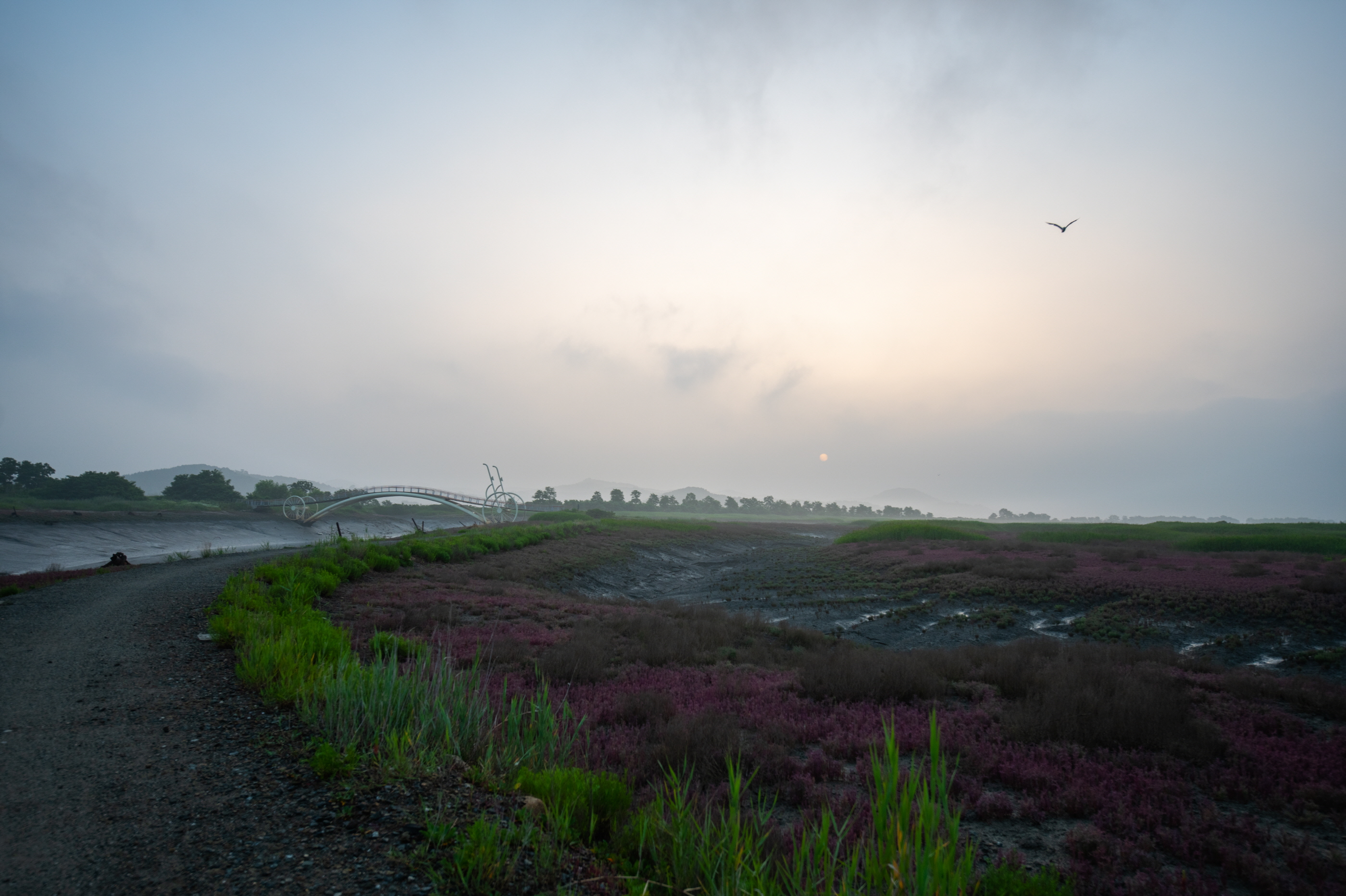 미생의다리 일출