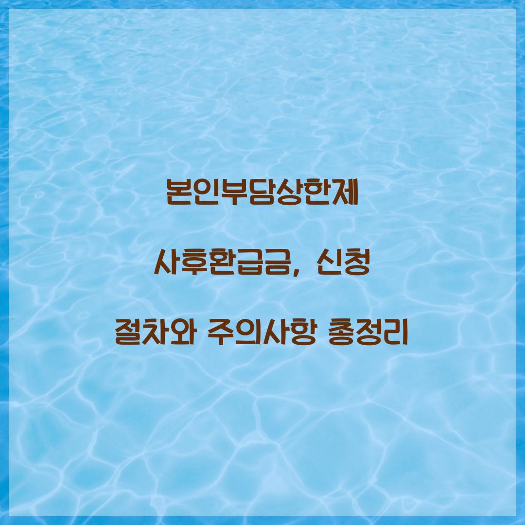 본인부담상한제 사후환급금