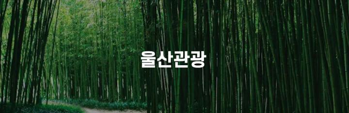 가성비-울산-관광