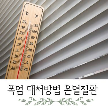 폭염 대처방법 온열질환 증상 예방 응급조치