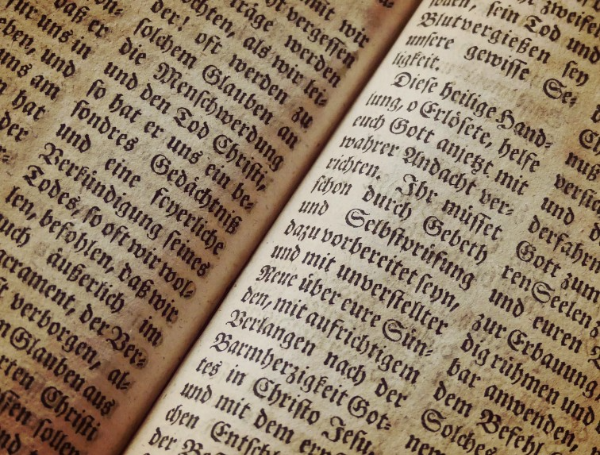 신경계 의학용어 어근 설명