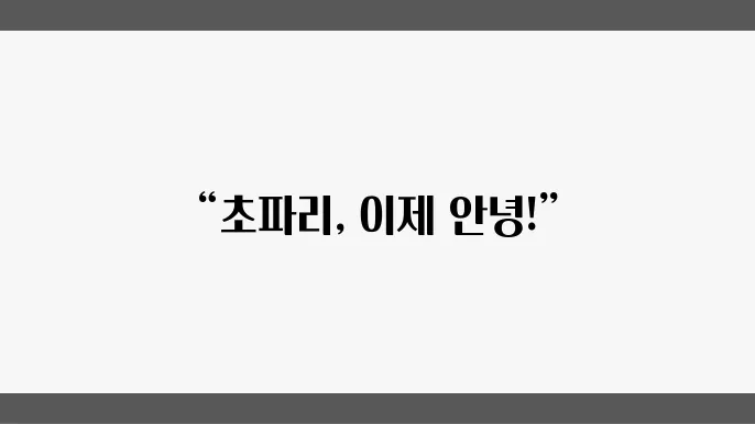 초파리 없애는 방법