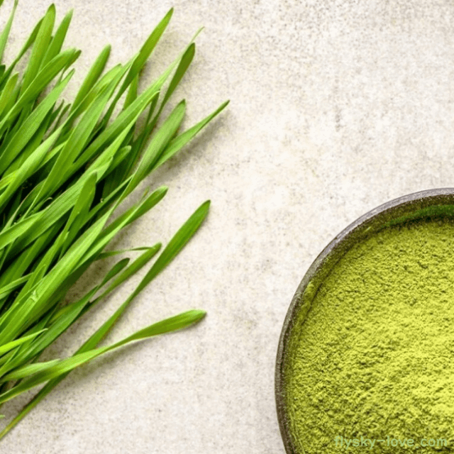 새싹보리, 새싹보리분말