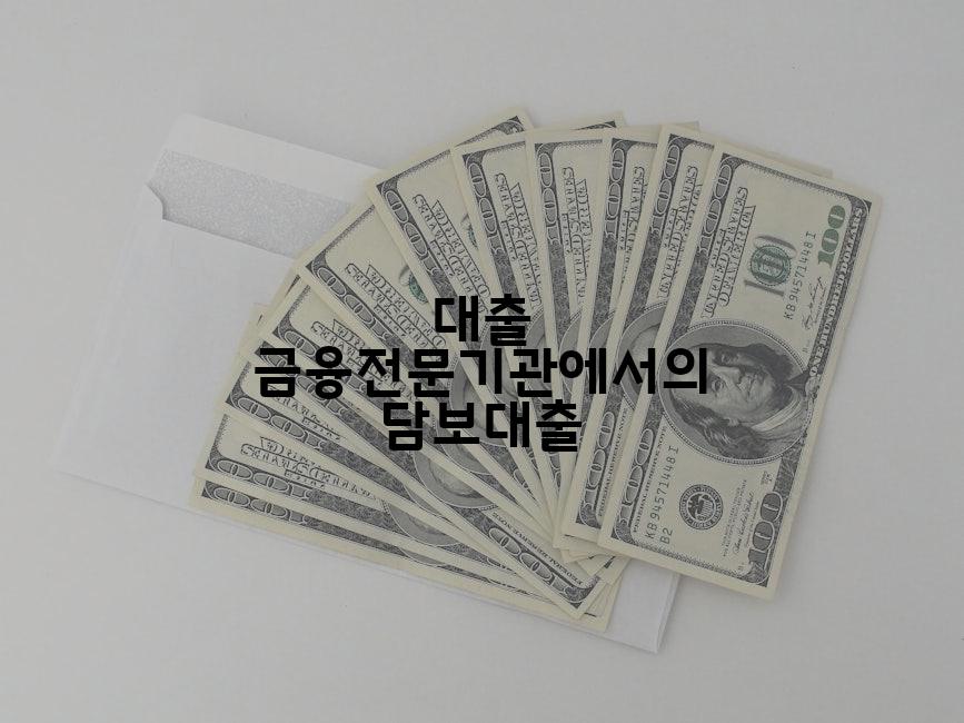 대출 금융전문기관에서의 담보대출