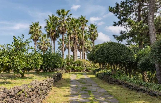 사려니숲길, 협재해수욕장, 휴애리공원, 노리매공원