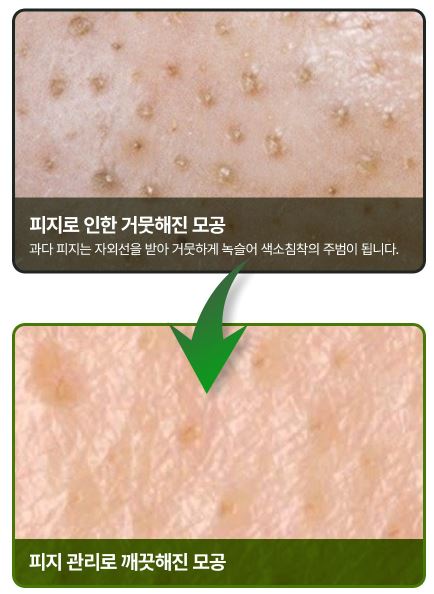 바다포도-앰플-후기