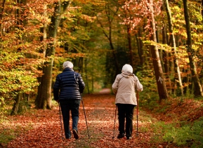 수면 호르몬 균형 맞추는 실천법