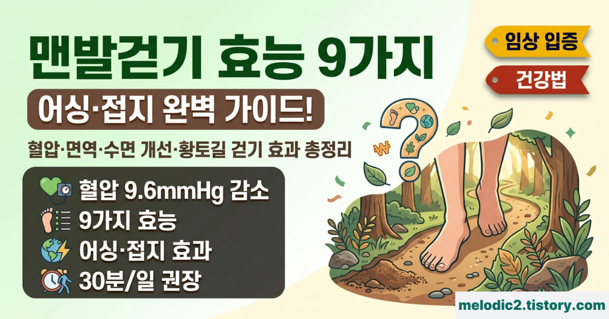 맨발걷기 효능 어싱 접지 황토길 걷기 효과 9가지 주의사항 올바른 방법 완벽 가이드