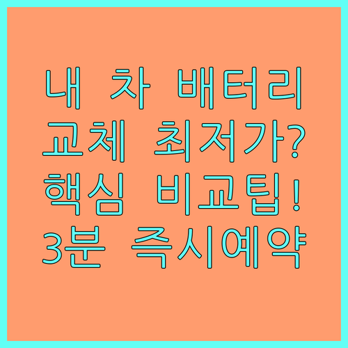 자동차 배터리 교체 비용 합리적으로 ..