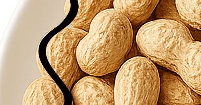 폐에 좋은 음식 10