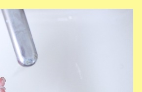 성홍열유행주의