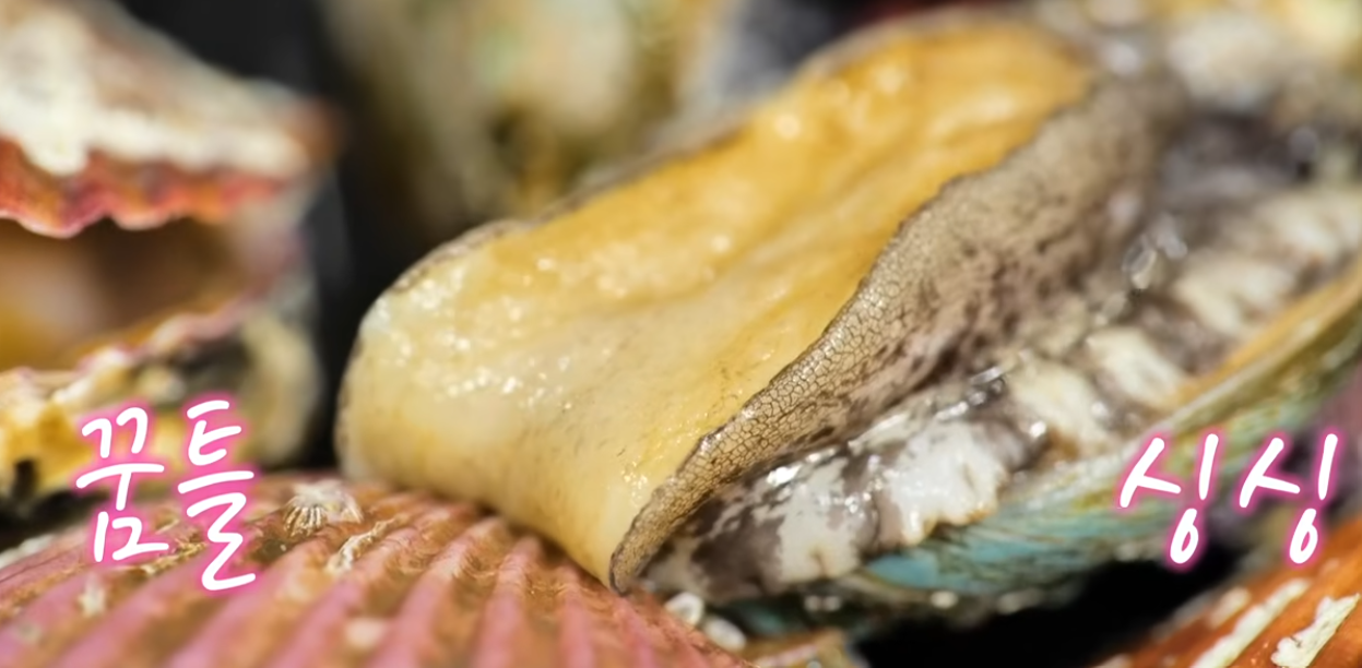 6시내고향 맛집 홍성전통시장 새조개
