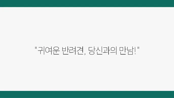 거주 공간에 알맞은 강아지를 선택하는 방법 이미지