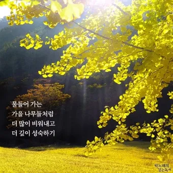 명언 인사말 예시 모음 카톡_27