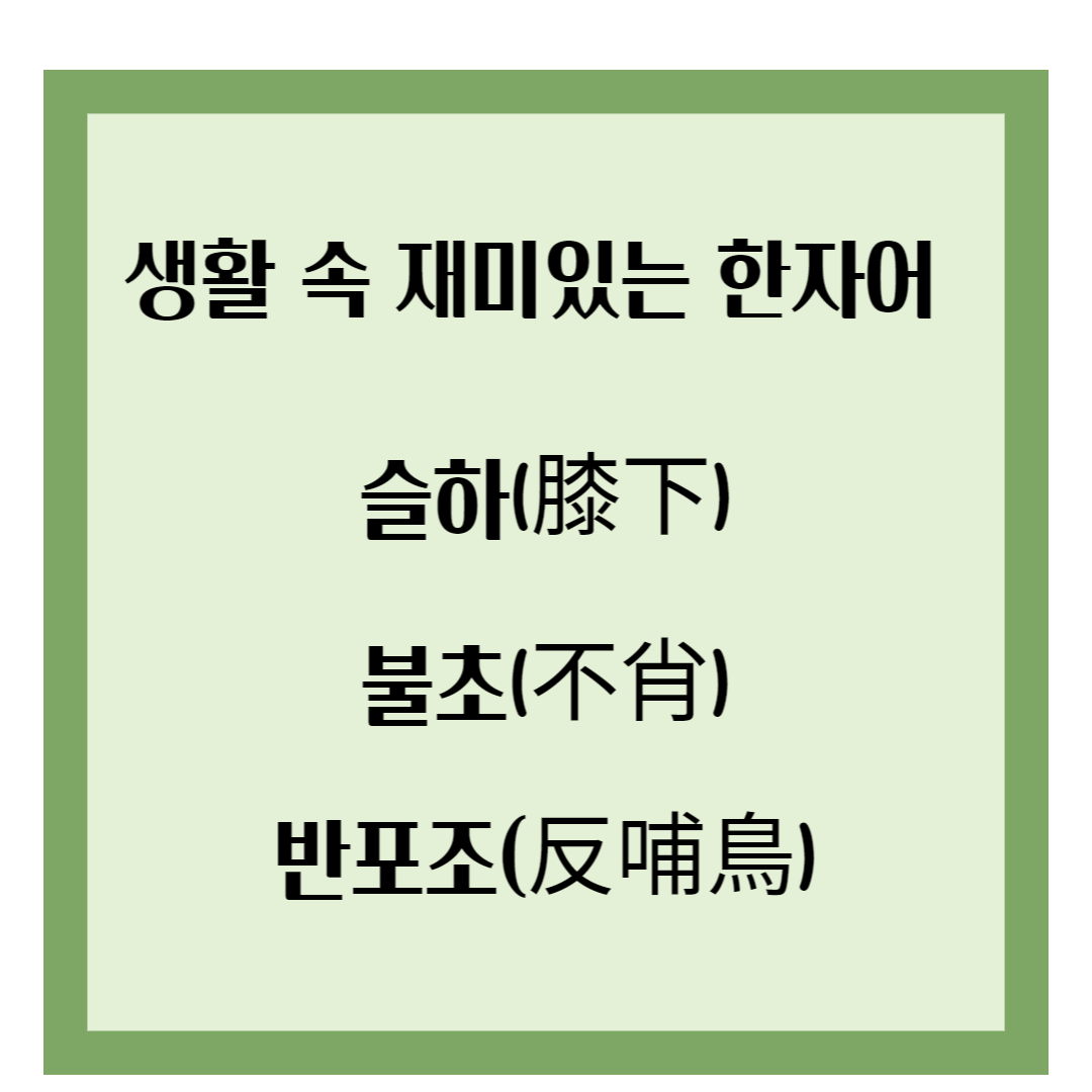 생활 속 재미있는 한자어 6