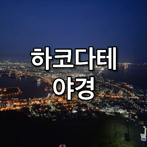하코다테 야경 스팟 로프웨이 전망대 요금 관람 시간 팁