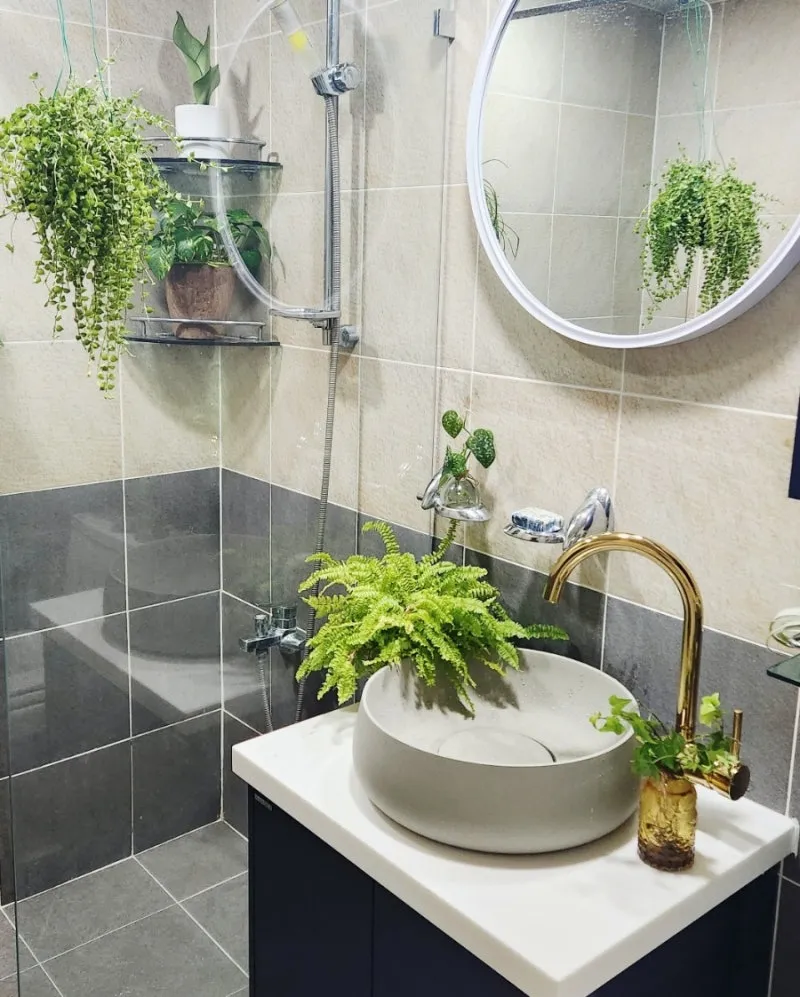 욕실 식물 추천 습도사랑 종류 물주기 환기요령 곰팡이 예방 팁_2