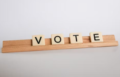 21대 대통령 선거일 임기 선거 일정 대선 후보 후보자명단