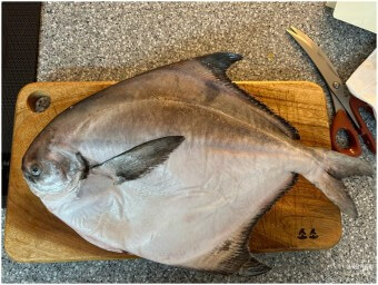 병치과에-속하는-도마보다-더-큰-목포의-명물-덕자